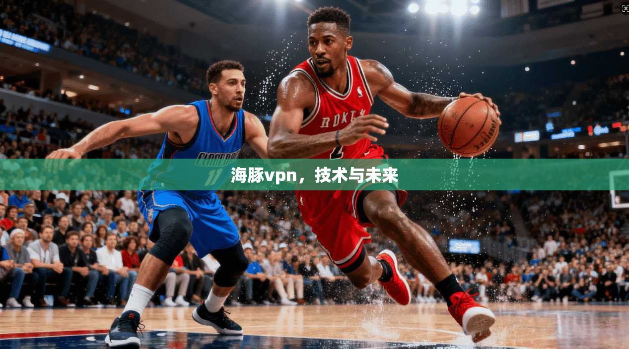海豚vpn，技术与未来