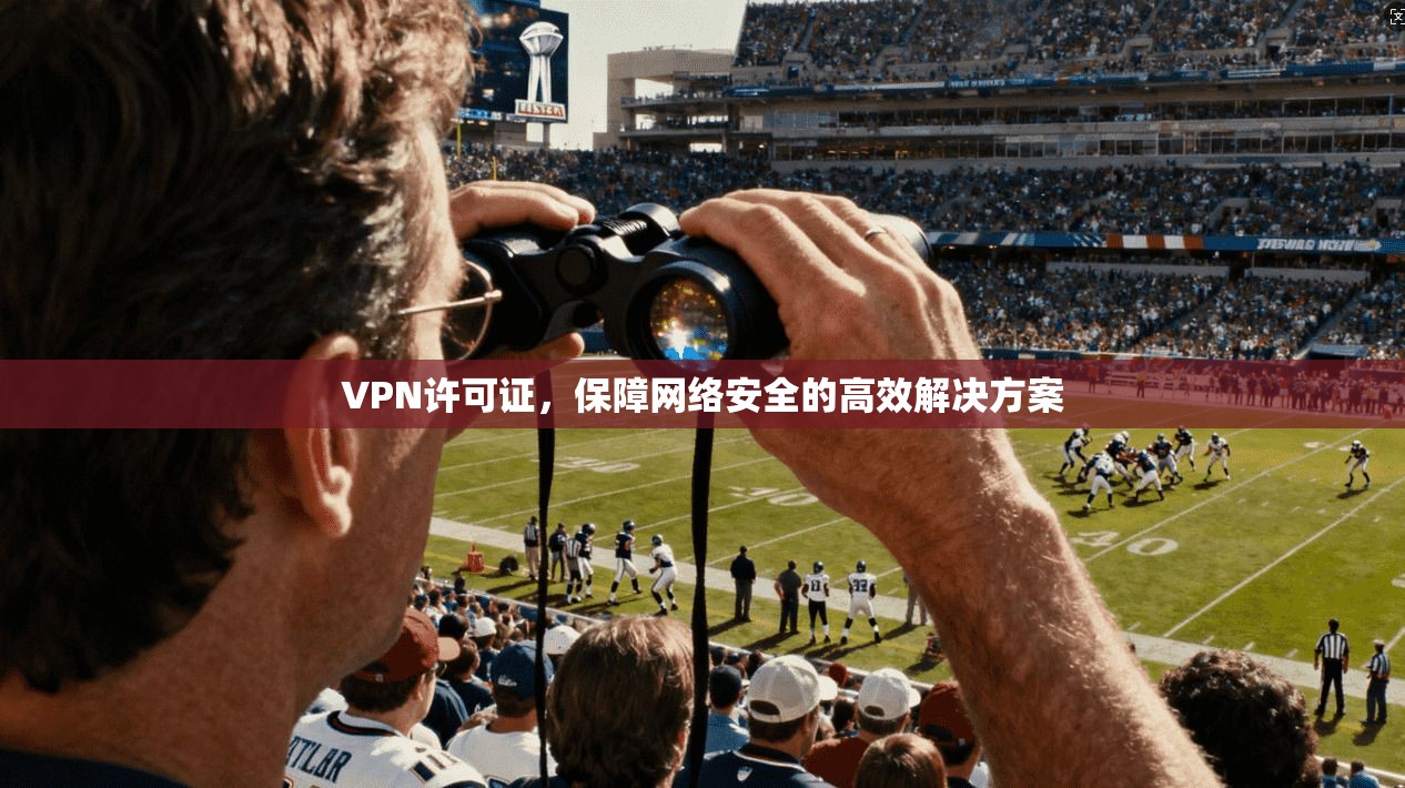 VPN许可证，保障网络安全的高效解决方案