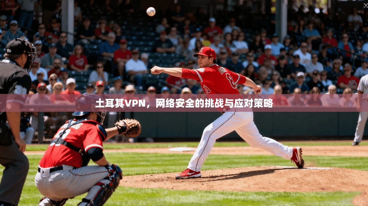 土耳其VPN，网络安全的挑战与应对策略