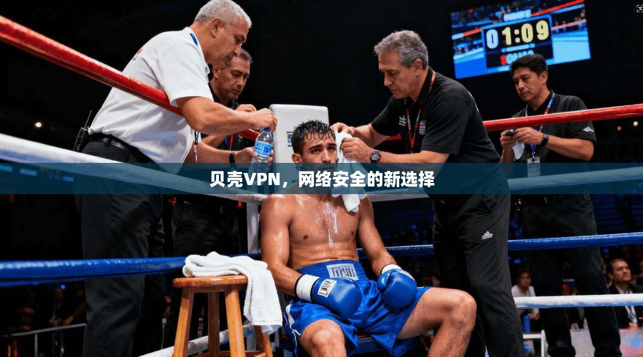 贝壳VPN，网络安全的新选择