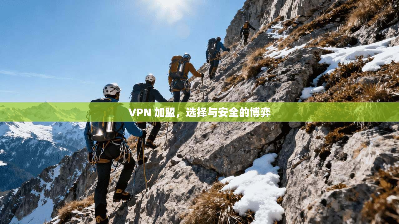 VPN 加盟，选择与安全的博弈