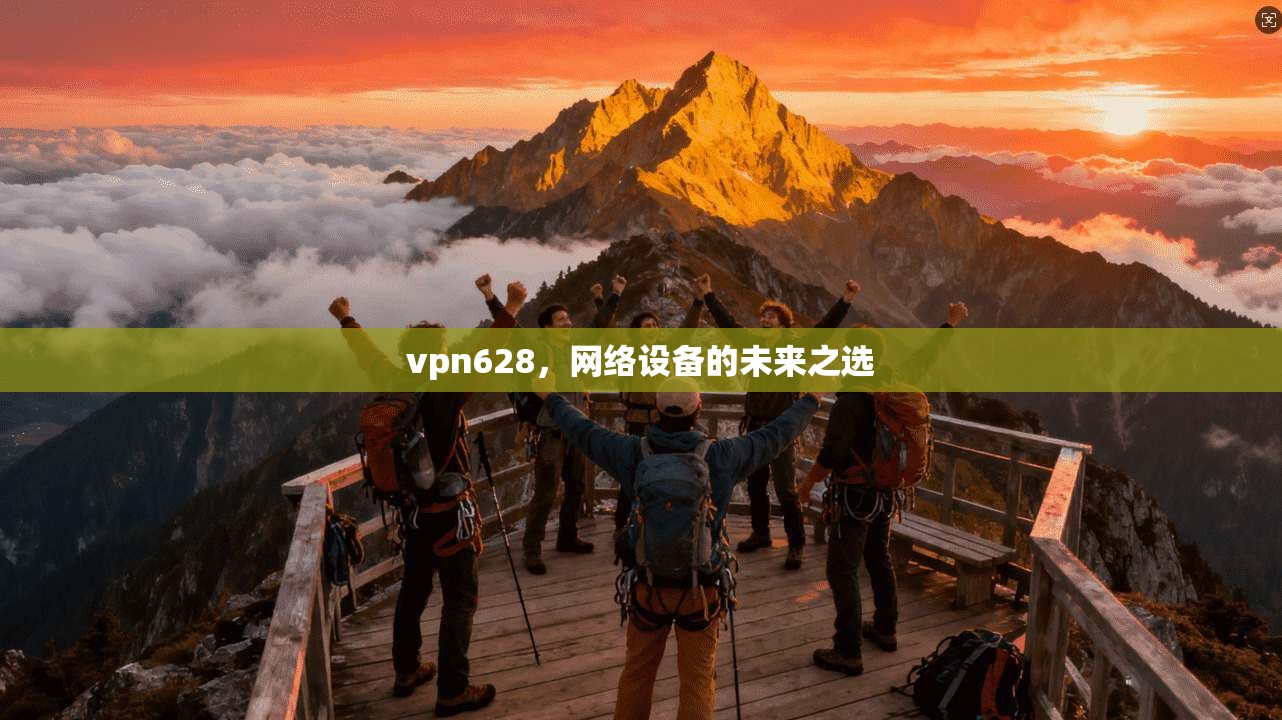 vpn628，网络设备的未来之选