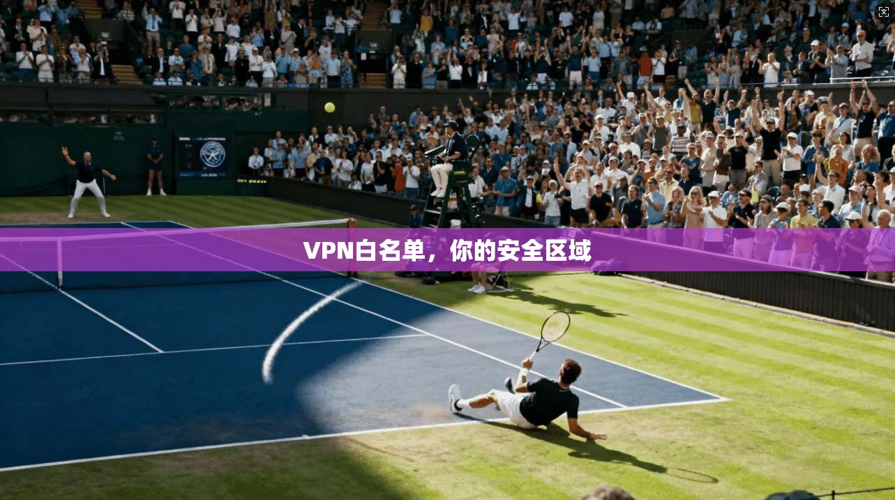 VPN白名单,你的安全区域