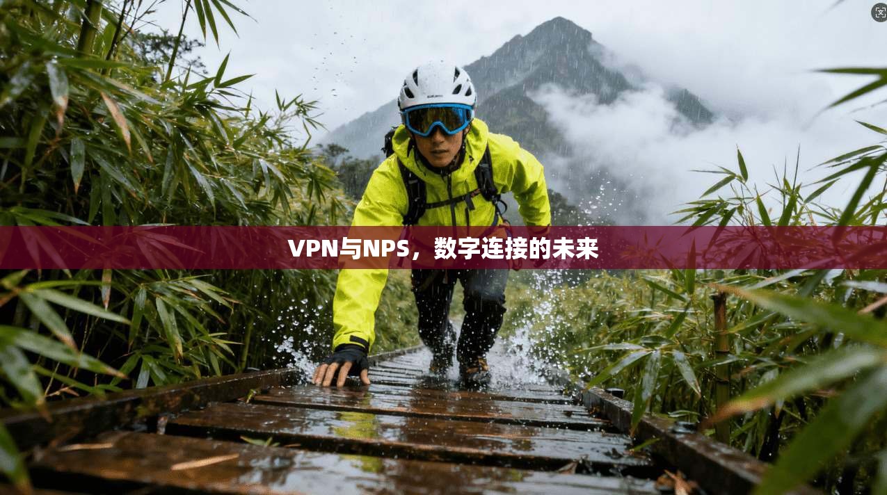 VPN与NPS,数字连接的未来