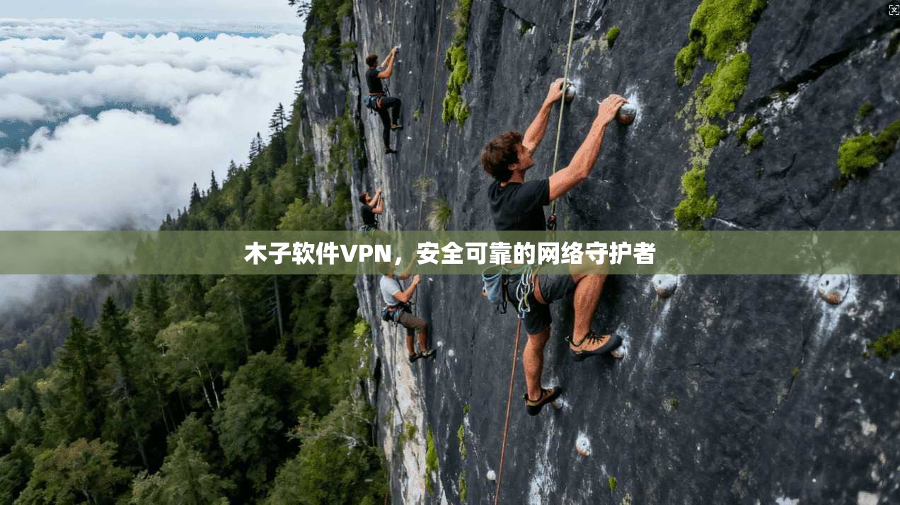 木子软件VPN，安全可靠的网络守护者