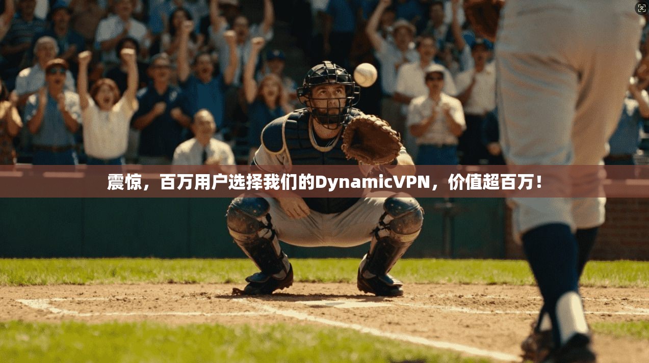 震惊，百万用户选择我们的DynamicVPN，价值超百万！