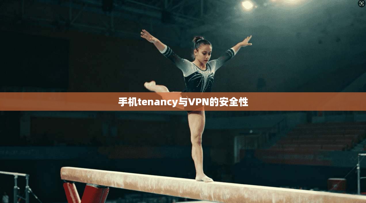 手机tenancy与VPN的安全性
