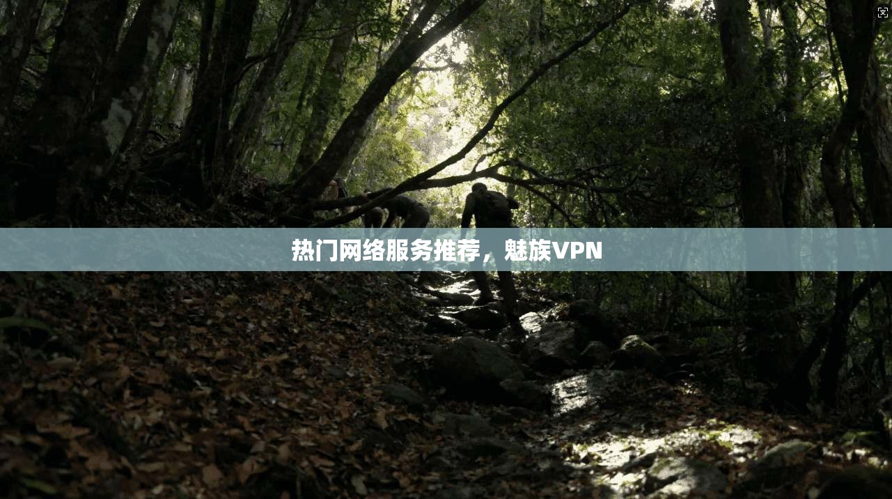 热门网络服务推荐，魅族VPN