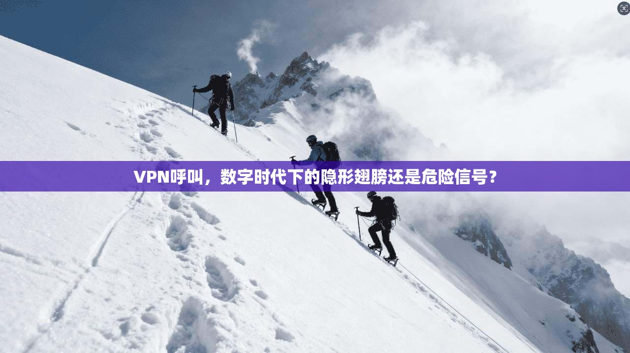 VPN呼叫，数字时代下的隐形翅膀还是危险信号？