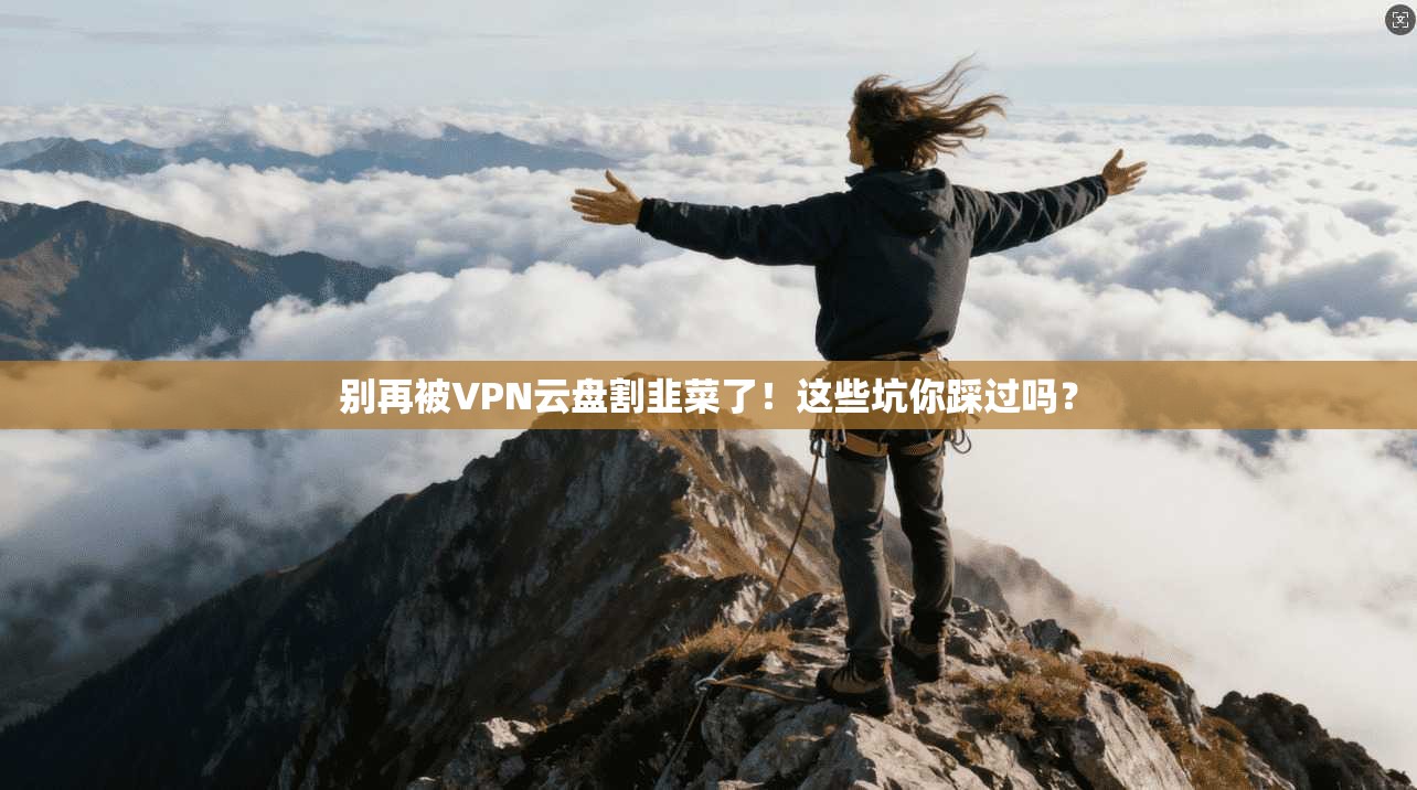 别再被VPN云盘割韭菜了！这些坑你踩过吗？