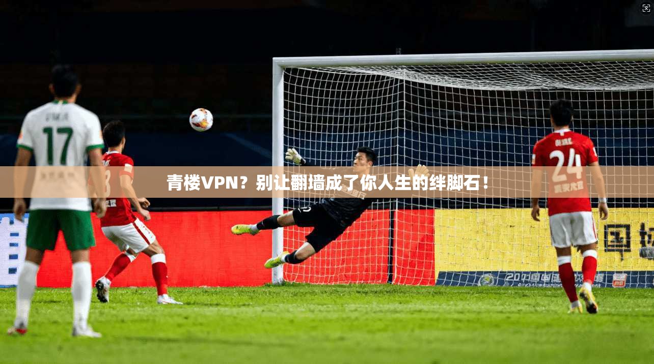 青楼VPN？别让翻墙成了你人生的绊脚石！