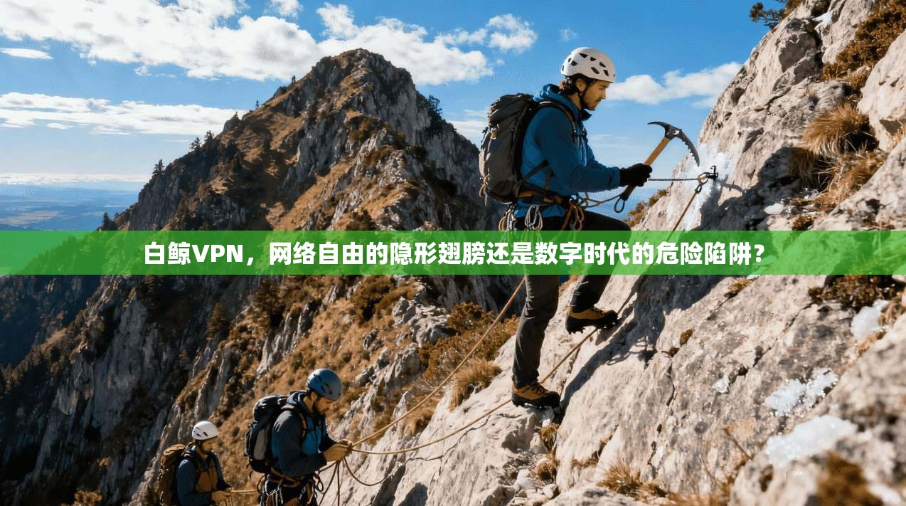 白鲸VPN，网络自由的隐形翅膀还是数字时代的危险陷阱？