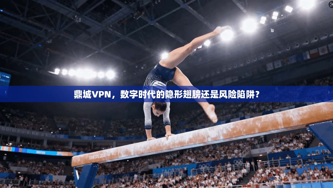 鼎城VPN，数字时代的隐形翅膀还是风险陷阱？