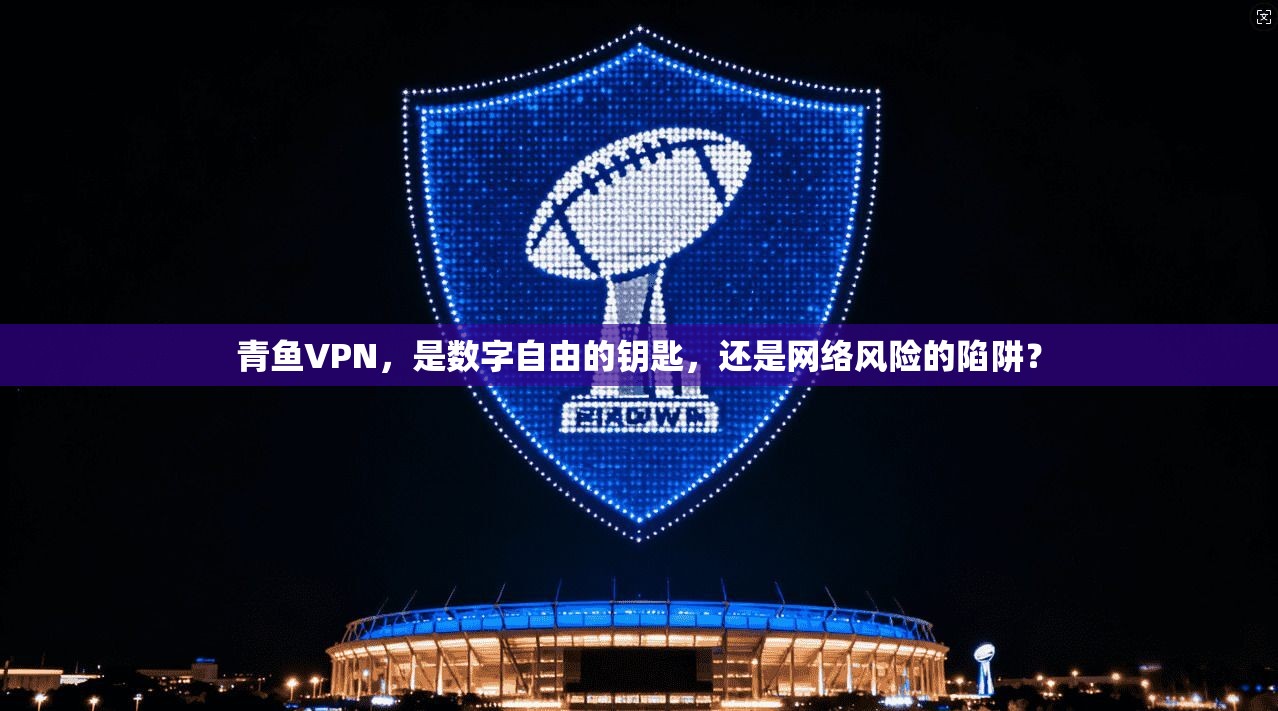 青鱼VPN，是数字自由的钥匙，还是网络风险的陷阱？