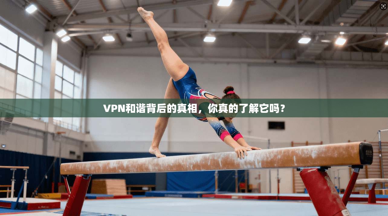 VPN和谐背后的真相，你真的了解它吗？