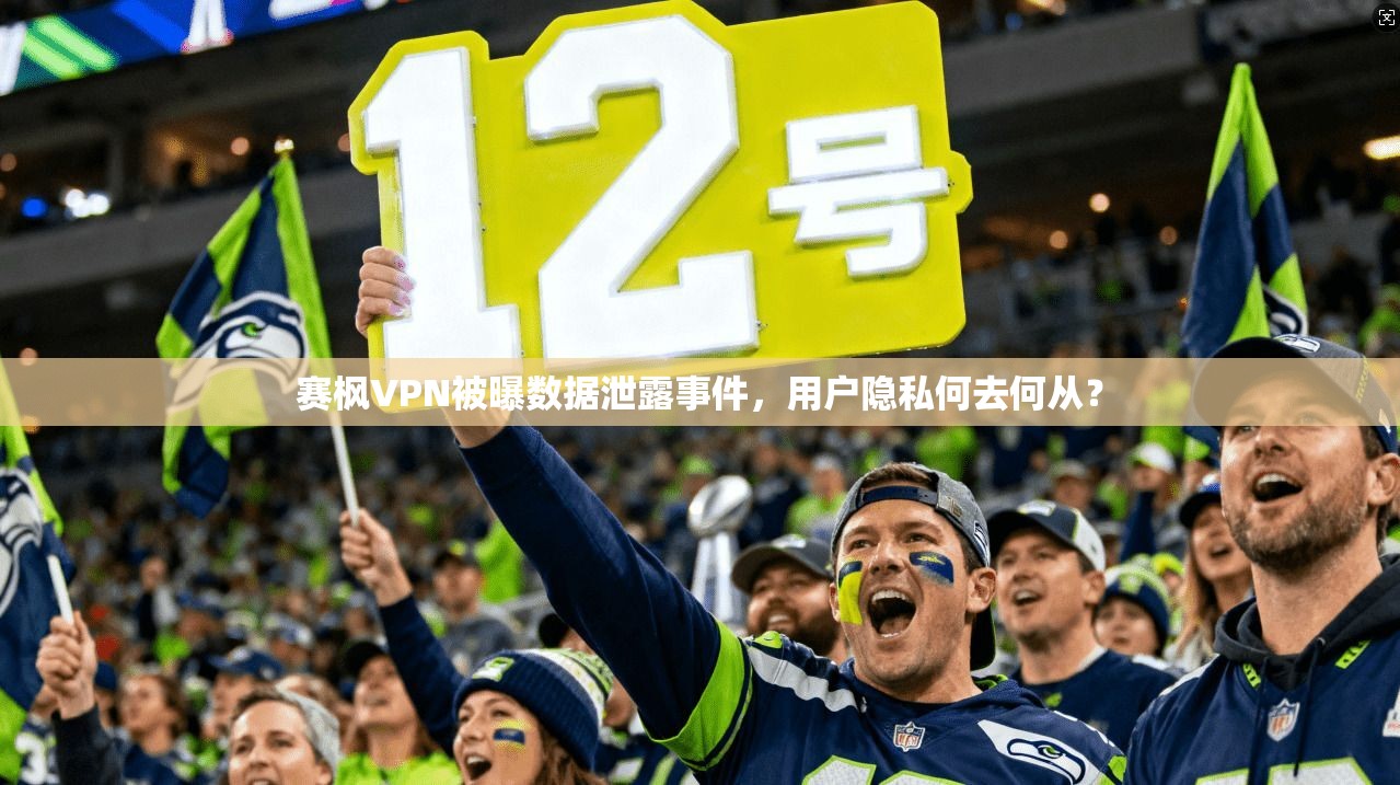 赛枫VPN被曝数据泄露事件，用户隐私何去何从？