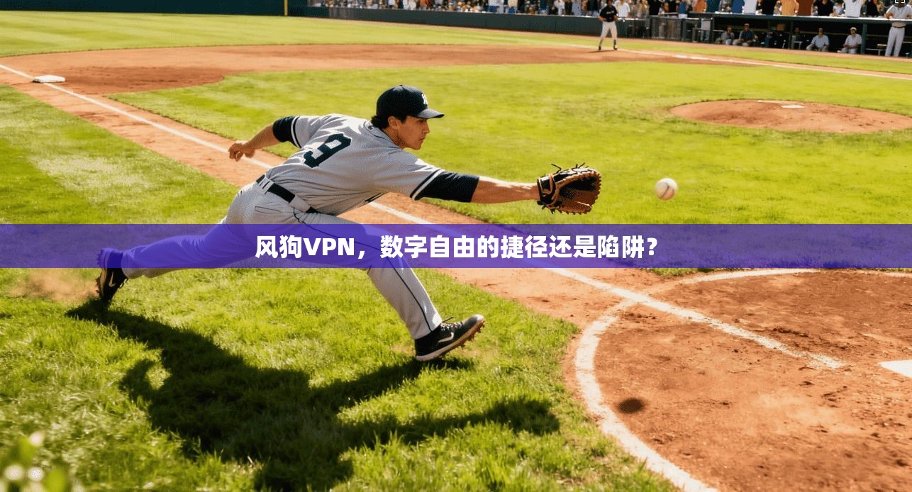 风狗VPN，数字自由的捷径还是陷阱？