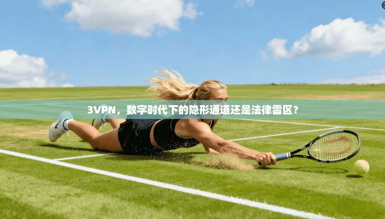 3VPN，数字时代下的隐形通道还是法律雷区？