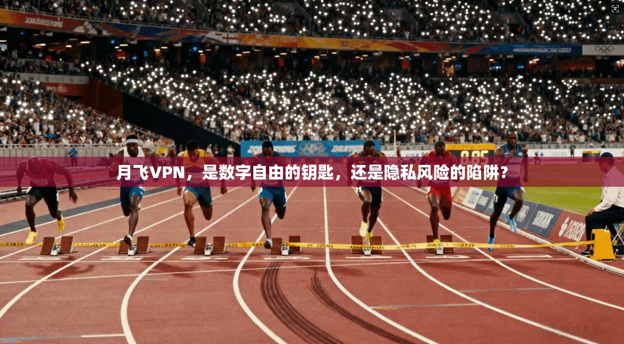 月飞VPN，是数字自由的钥匙，还是隐私风险的陷阱？