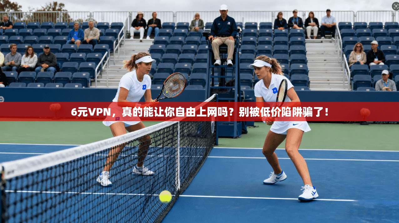 6元VPN，真的能让你自由上网吗？别被低价陷阱骗了！