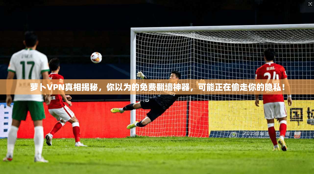 萝卜VPN真相揭秘，你以为的免费翻墙神器，可能正在偷走你的隐私！