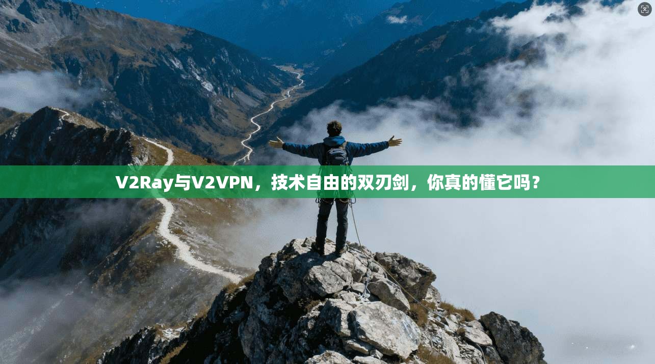 V2Ray与V2VPN，技术自由的双刃剑，你真的懂它吗？
