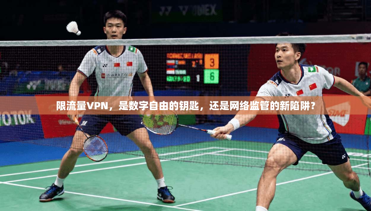限流量VPN，是数字自由的钥匙，还是网络监管的新陷阱？