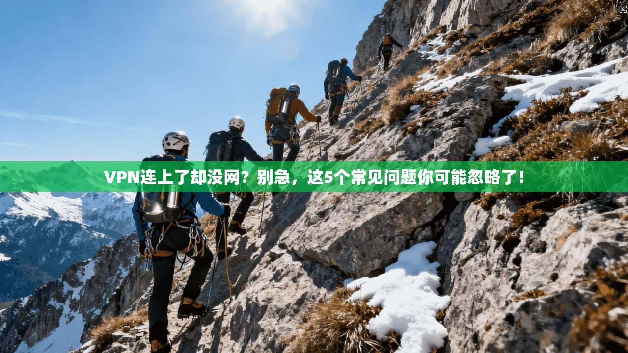 VPN连上了却没网？别急，这5个常见问题你可能忽略了！