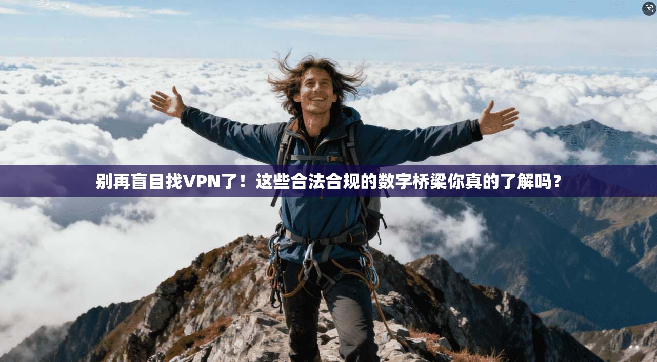 别再盲目找VPN了！这些合法合规的数字桥梁你真的了解吗？