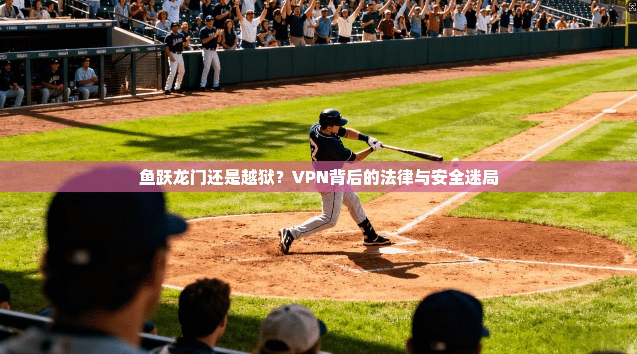 鱼跃龙门还是越狱？VPN背后的法律与安全迷局