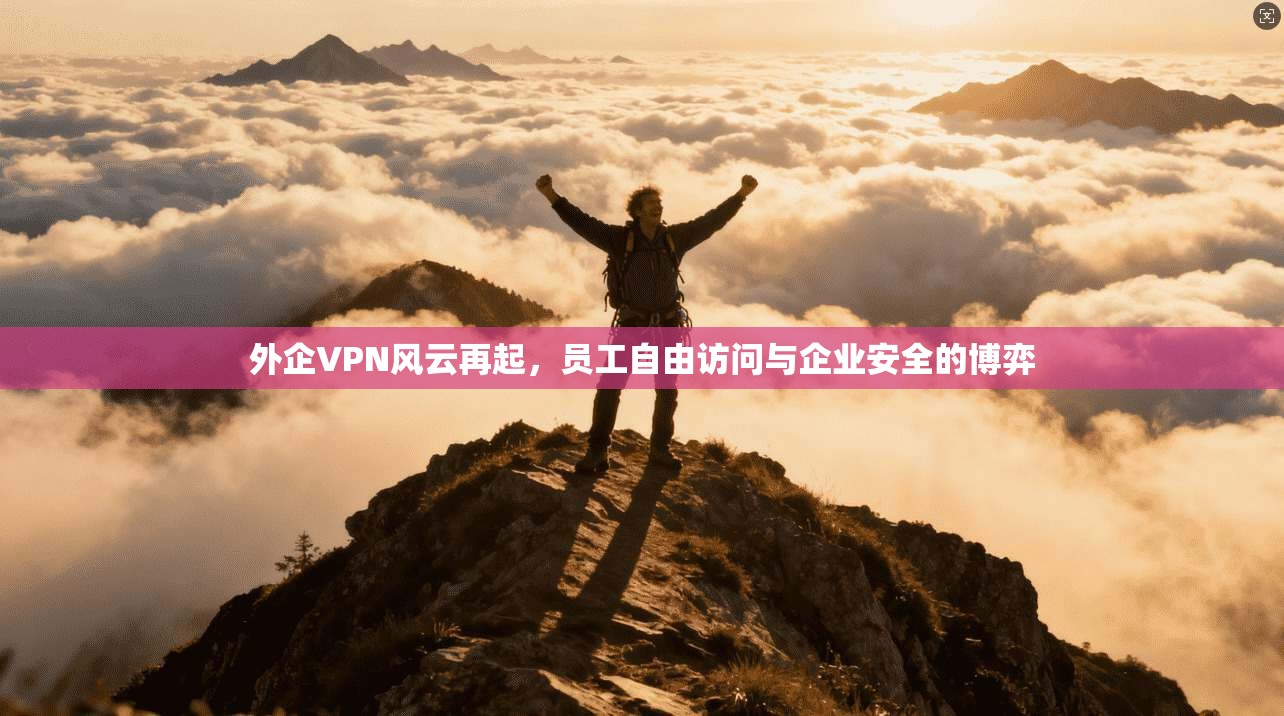外企VPN风云再起，员工自由访问与企业安全的博弈