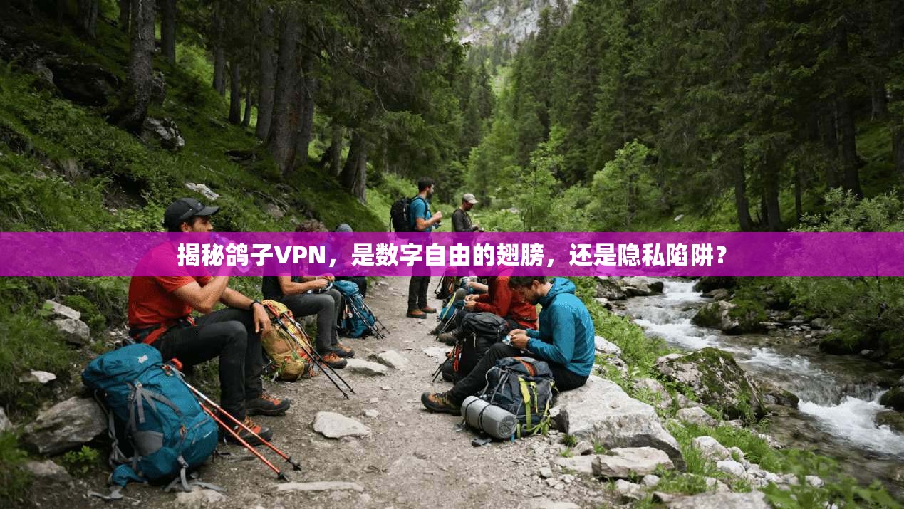 揭秘鸽子VPN，是数字自由的翅膀，还是隐私陷阱？