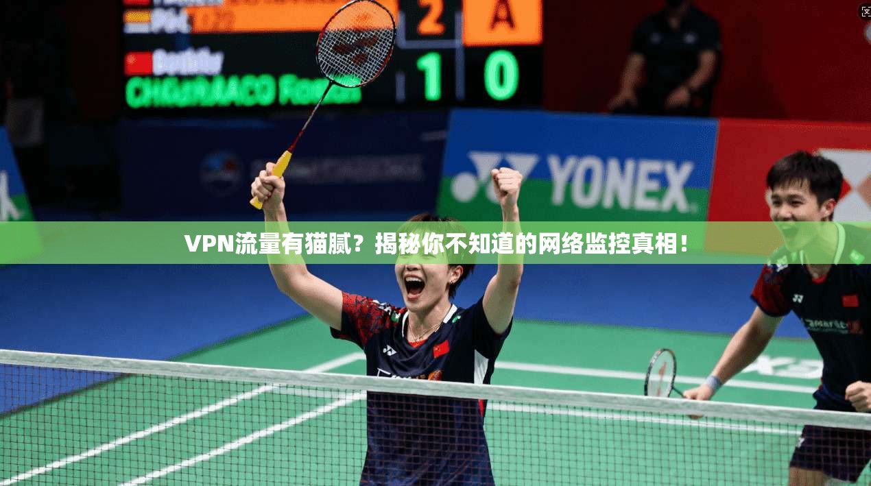 VPN流量有猫腻？揭秘你不知道的网络监控真相！
