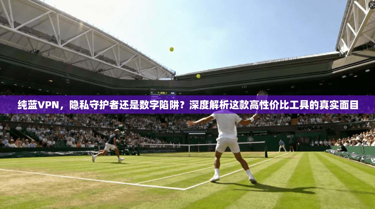 纯蓝VPN，隐私守护者还是数字陷阱？深度解析这款高性价比工具的真实面目