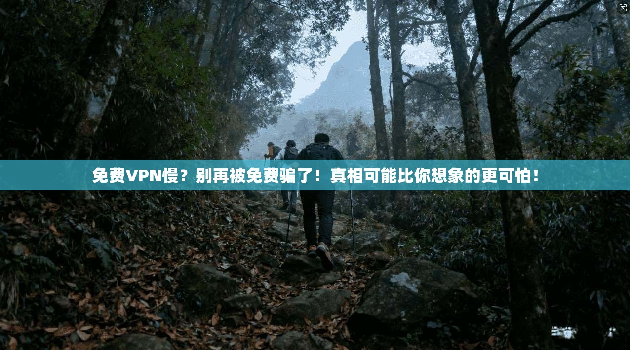 免费VPN慢?别再被免费骗了!真相可能比你想象的更可怕!