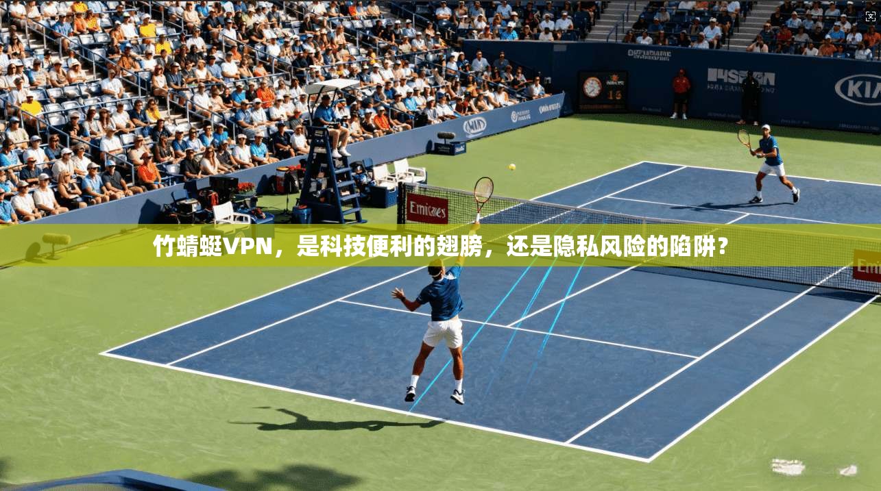 竹蜻蜓VPN,是科技便利的翅膀,还是隐私风险的陷阱?
