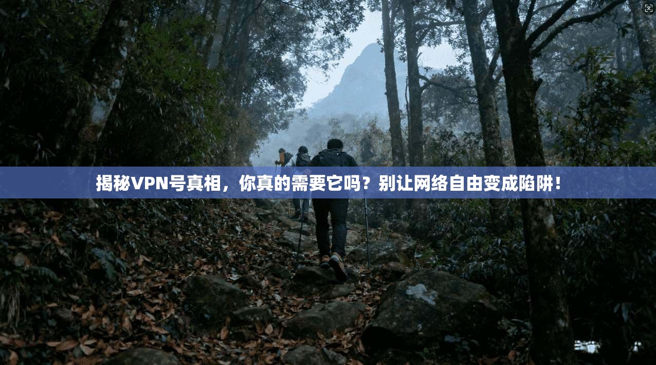 揭秘VPN号真相，你真的需要它吗？别让网络自由变成陷阱！