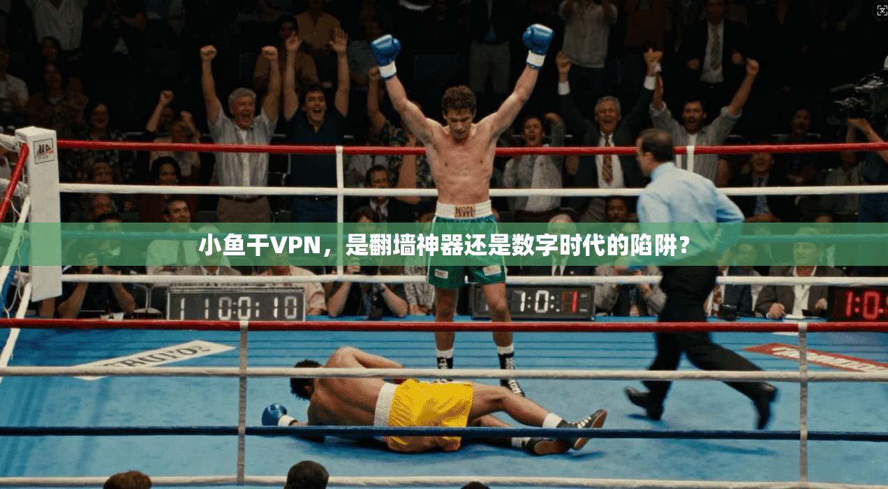 小鱼干VPN，是翻墙神器还是数字时代的陷阱？