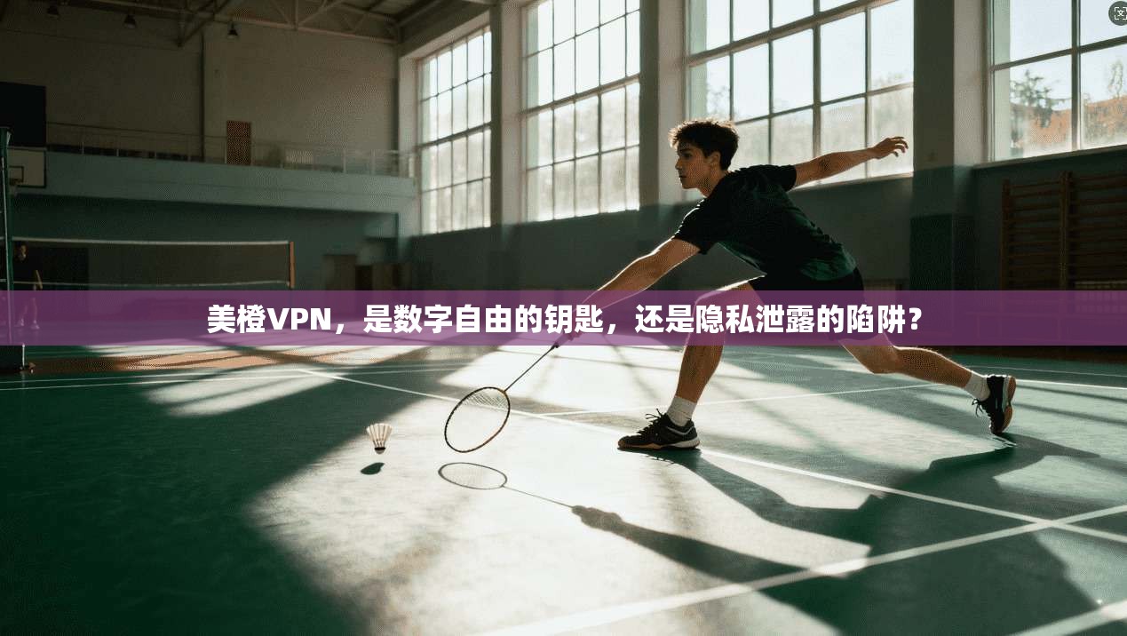美橙VPN，是数字自由的钥匙，还是隐私泄露的陷阱？