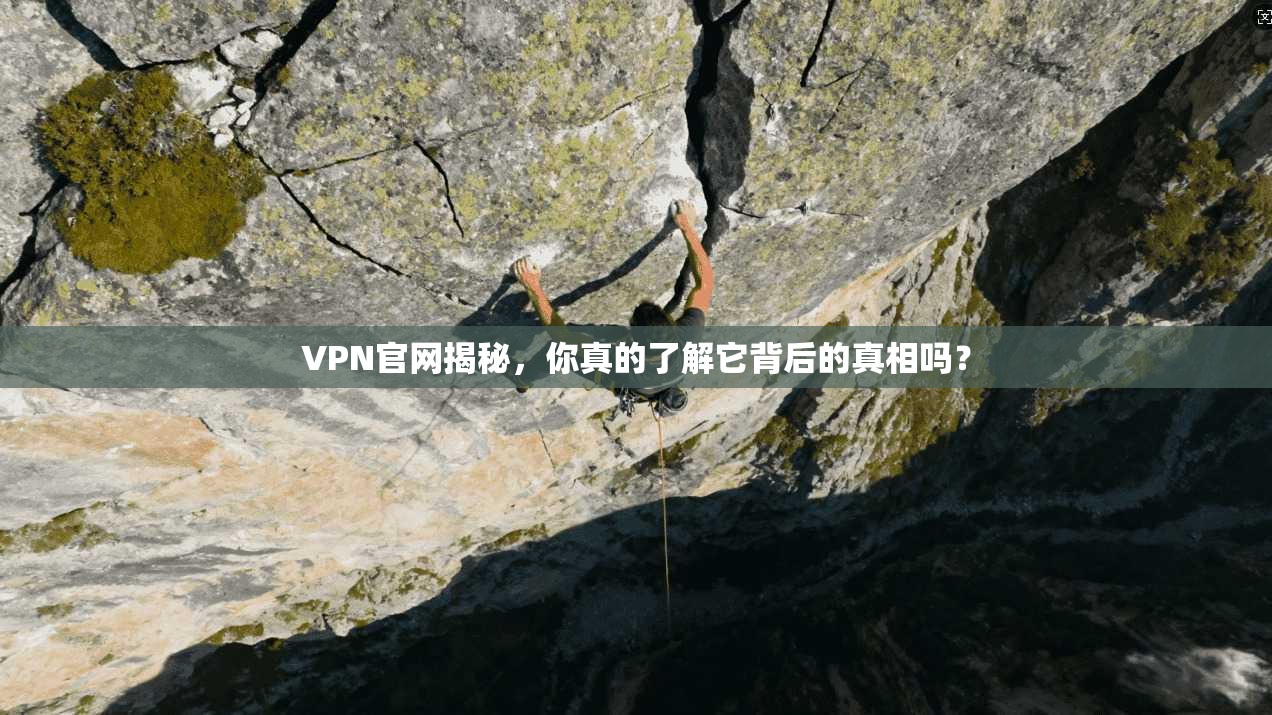 VPN官网揭秘，你真的了解它背后的真相吗？