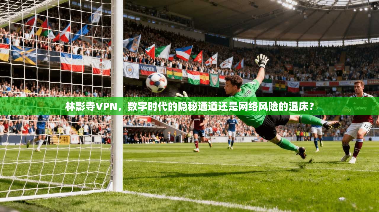 林影寺VPN，数字时代的隐秘通道还是网络风险的温床？