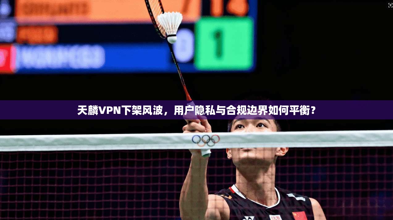 天麟VPN下架风波,用户隐私与合规边界如何平衡?