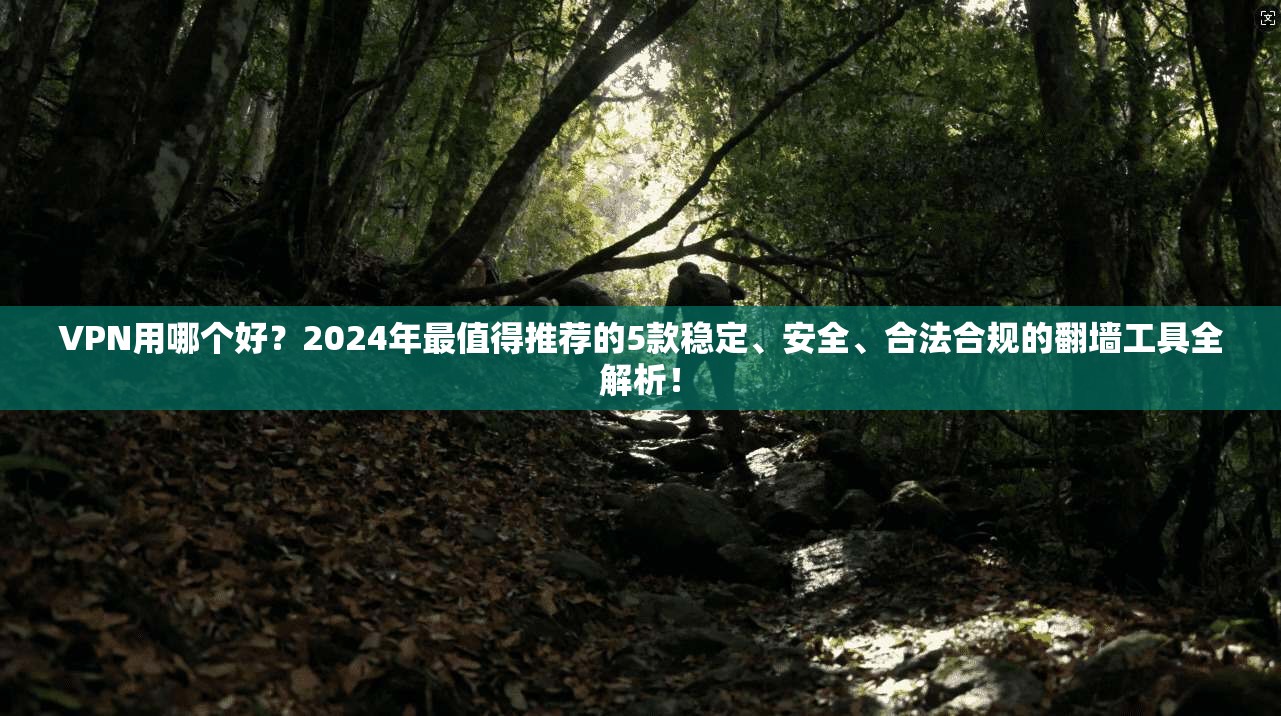 VPN用哪个好？2024年最值得推荐的5款稳定、安全、合法合规的翻墙工具全解析！