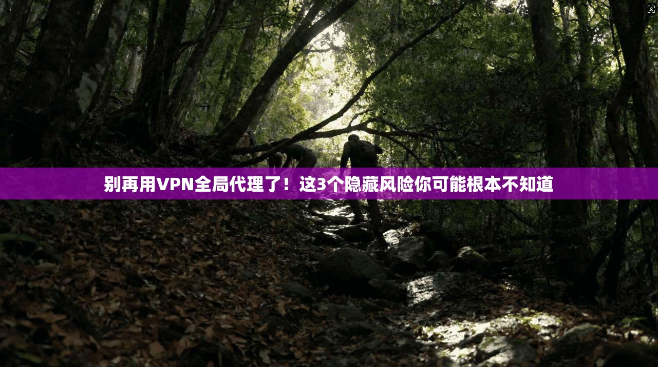 别再用VPN全局代理了！这3个隐藏风险你可能根本不知道