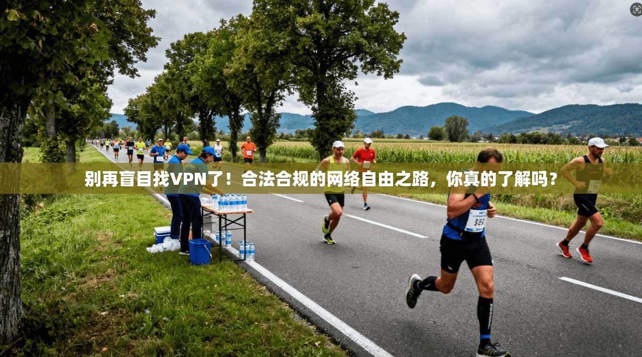 别再盲目找VPN了！合法合规的网络自由之路，你真的了解吗？