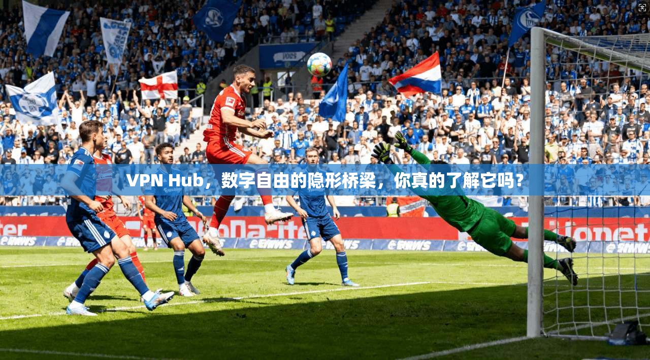 VPN Hub,数字自由的隐形桥梁,你真的了解它吗?