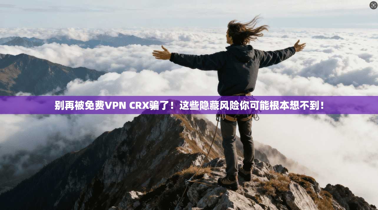 别再被免费VPN CRX骗了!这些隐藏风险你可能根本想不到!