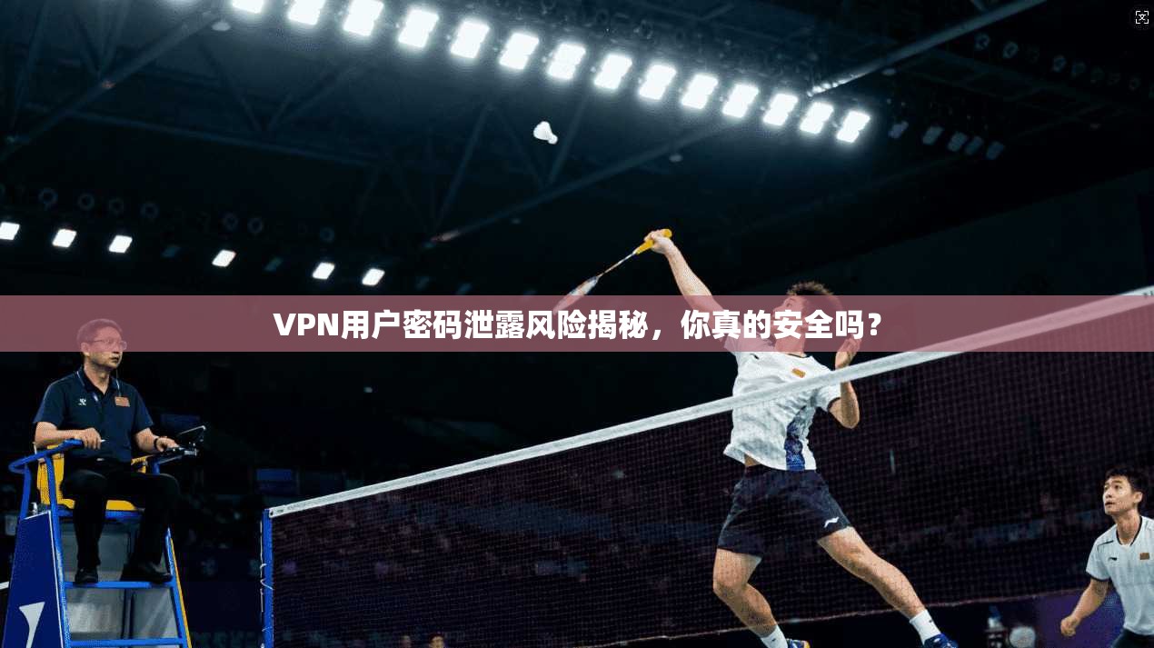VPN用户密码泄露风险揭秘，你真的安全吗？