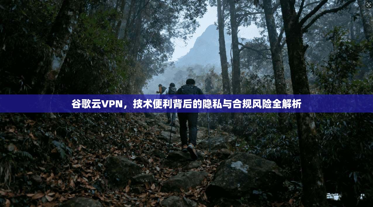 谷歌云VPN,技术便利背后的隐私与合规风险全解析