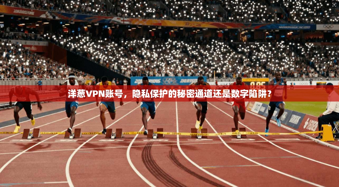 洋葱VPN账号，隐私保护的秘密通道还是数字陷阱？